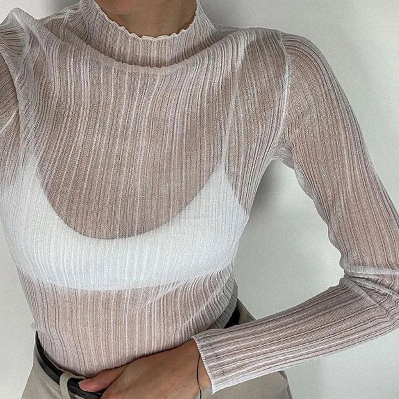 Zara Sheer Mesh Top
