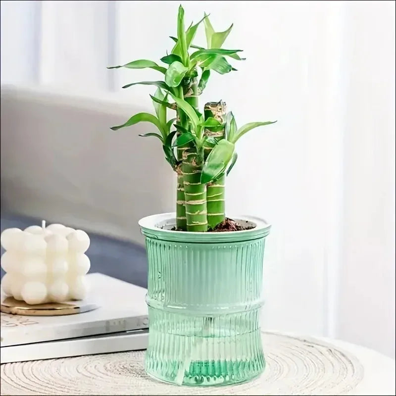 Verdora Self-Hydrating Pot