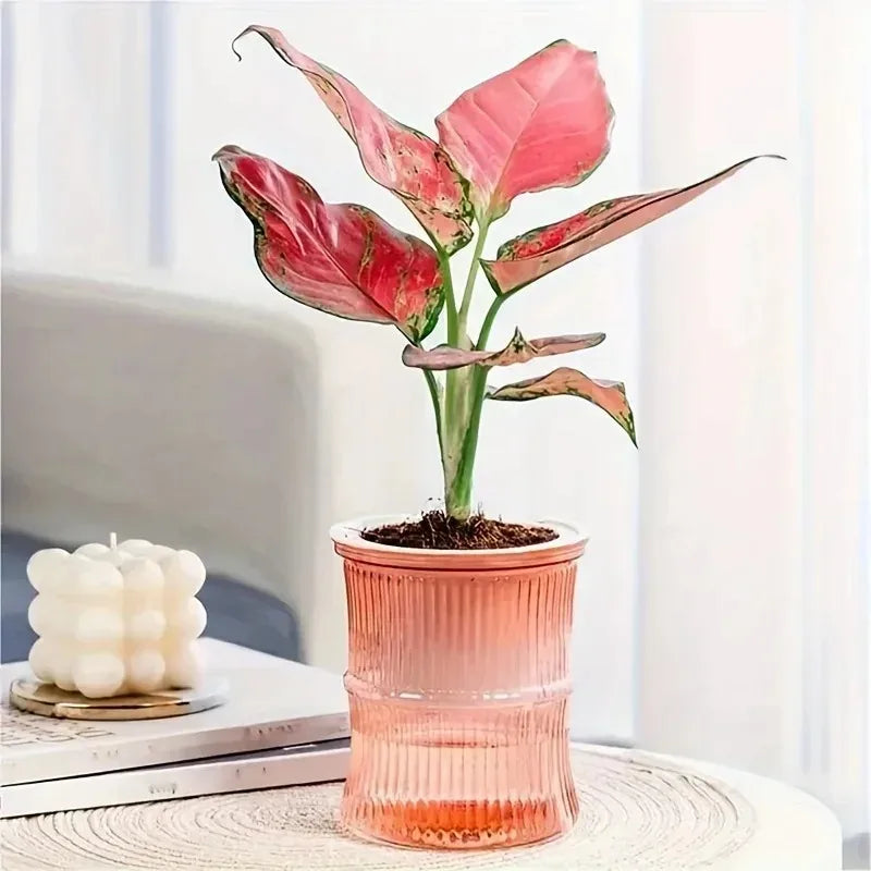 Verdora Self-Hydrating Pot
