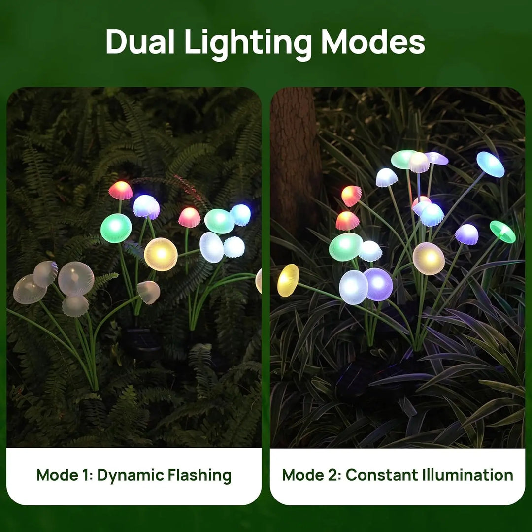Liora Glow Mushroom Lights