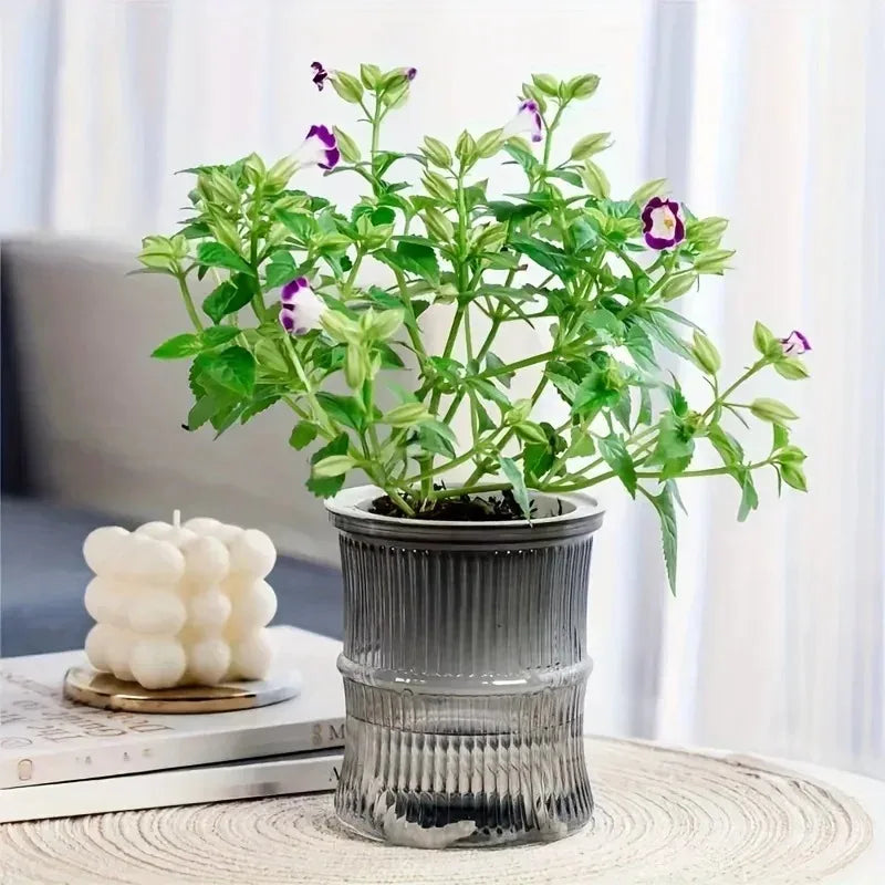Verdora Self-Hydrating Pot