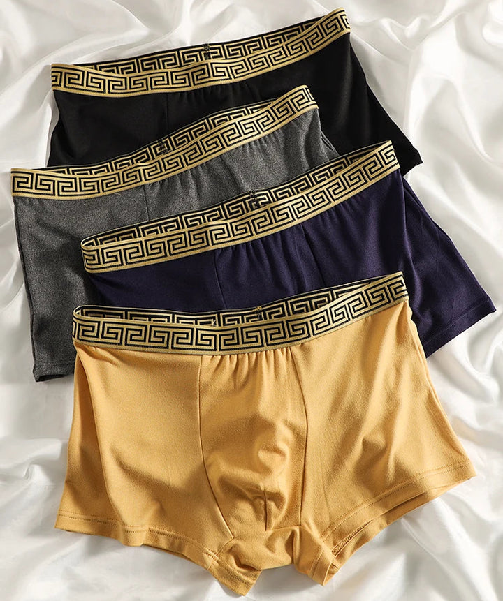 Victor men's boxers