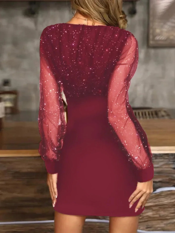 Camila Mesh Sleeves Dress