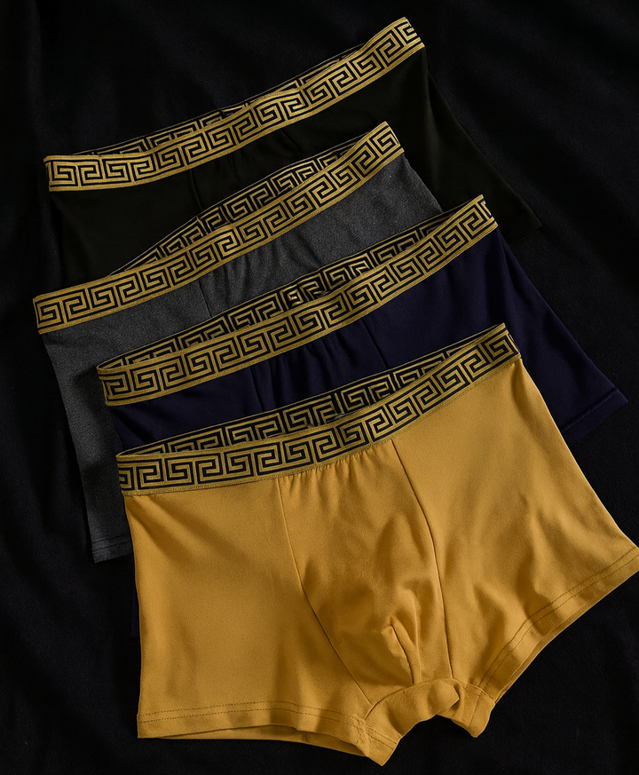 Victor men's boxers